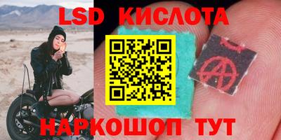 скорость Новозыбков