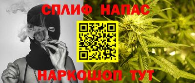 скорость Новозыбков