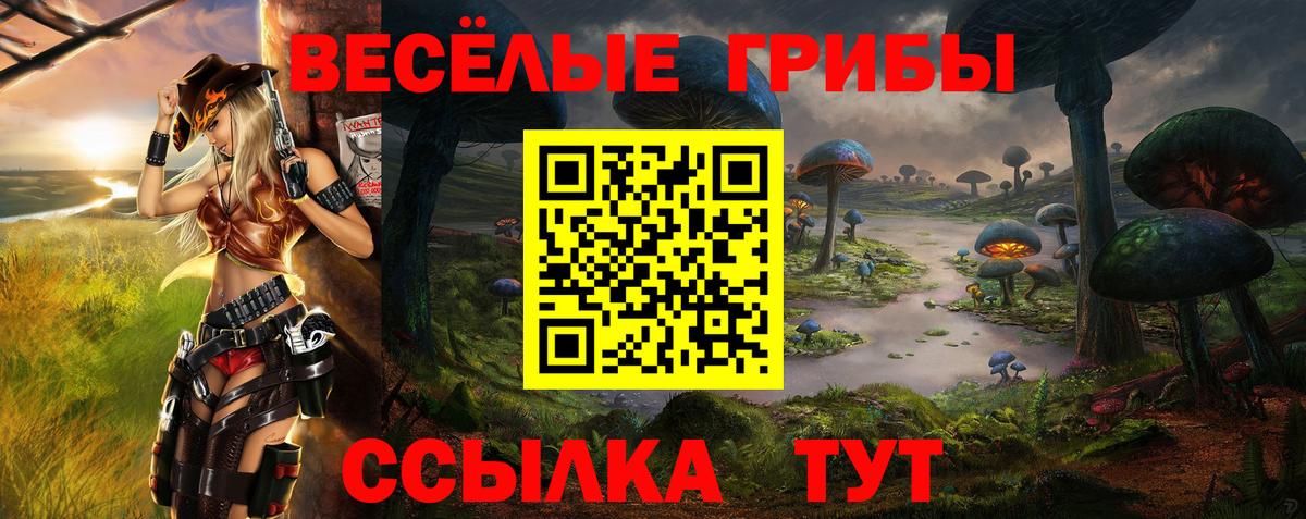 Сланцы  Галлюциногенные грибы Cubensis  Вход с VPN  купить наркотики сайты  Галлюциногенные грибы Psilocybe 
